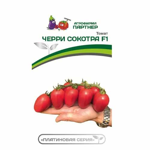 Томат Черри Сокотра F1 Партнер изображение 1 артикул 40795
