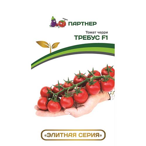 Томат черри Требус F1 Партнер артикул фото 1 Томат черри Требус F1 Партнер изображение 1 артикул 73519