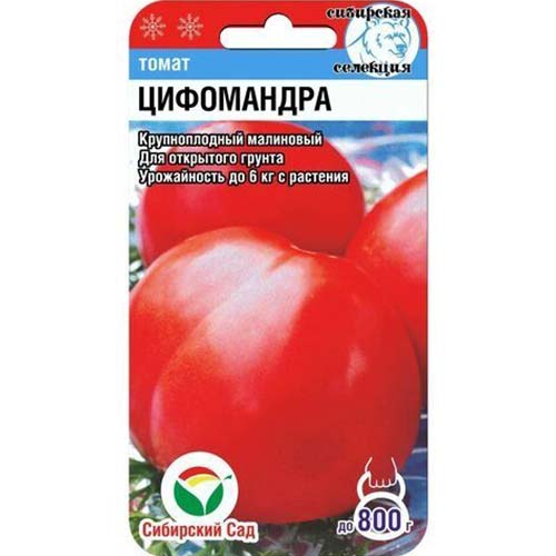 Томат Цифомандра Сибирский сад артикул фото 1 Томат Цифомандра Сибирский сад изображение 1 артикул 82929