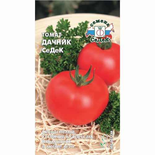 Томат Дачник Седек изображение 1 артикул 40494
