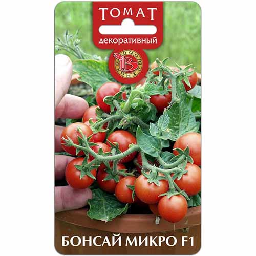 Томат декоративный Бонсай Микро F1 Биотехника артикул фото 1 Томат декоративный Бонсай Микро F1 Биотехника изображение 1 артикул 82731