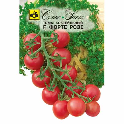 Томат Форте Розе F1 Семко артикул фото 1 Томат Форте Розе F1 Семко изображение 1 артикул 82574
