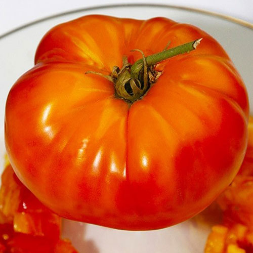 Томат Гордость Урала Уральский дачник артикул фото 1 Томат Гордость Урала Уральский дачник изображение 1 артикул 83088