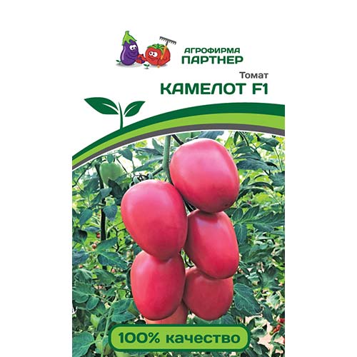 Томат Камелот F1 Партнер изображение 1 артикул 81053