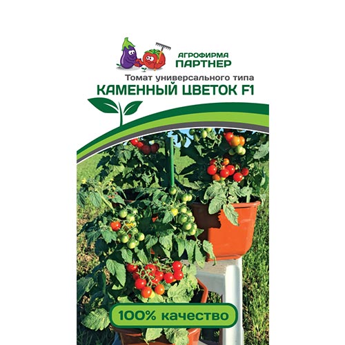 Томат Каменный цветок F1 Партнер изображение 1 артикул 92686