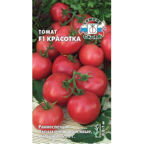Томат Красотка F1 Седек артикул фото 1 Томат Красотка F1 Седек изображение 1 артикул 93576