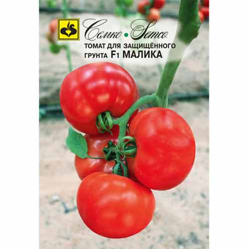 Томат Малика F1 Семко изображение 1 артикул 82594