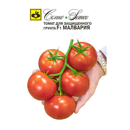 Томат Малвария F1 Семко изображение 1 артикул 82593