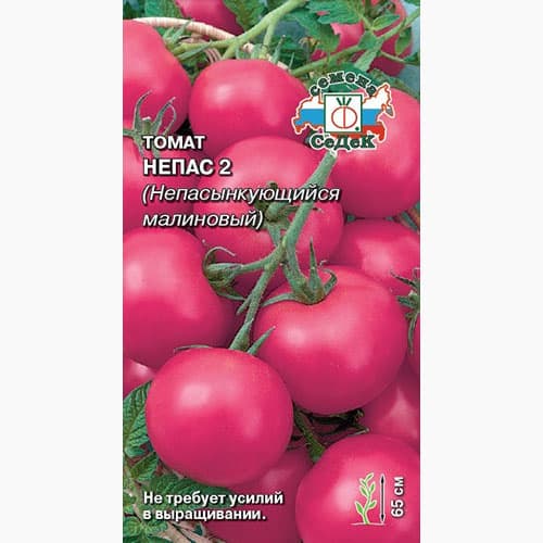 Томат Непас 2 Непасынкующийся малиновый  Седек изображение 1 артикул 98115