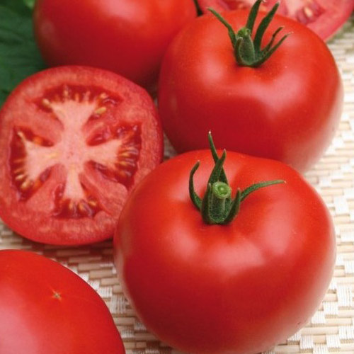 Томат Ролекс F1 артикул фото 1 Томат Ролекс F1 изображение 1 артикул 69829