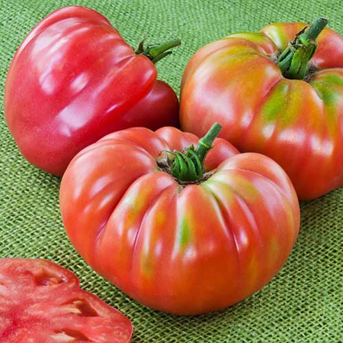 Томат Розовый сладкий Уральский дачник изображение 1 артикул 74255