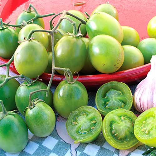 Томат Самоцвет нефритовый F1 изображение 1 артикул 65164