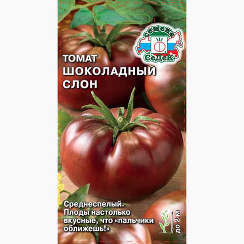 Томат Шоколадный Слон  Седек артикул фото 1 Томат Шоколадный Слон  Седек изображение 1 артикул 98150