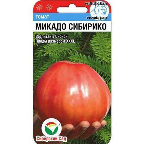 Томат Сибирико Микадо Сибирский сад артикул фото 1 Томат Сибирико Микадо Сибирский сад изображение 1 артикул 82915
