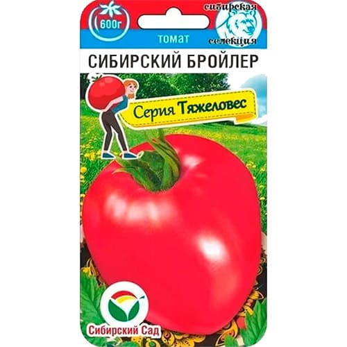 Томат Сибирский бройлер Сибирский сад артикул фото 1 Томат Сибирский бройлер Сибирский сад изображение 1 артикул 97192