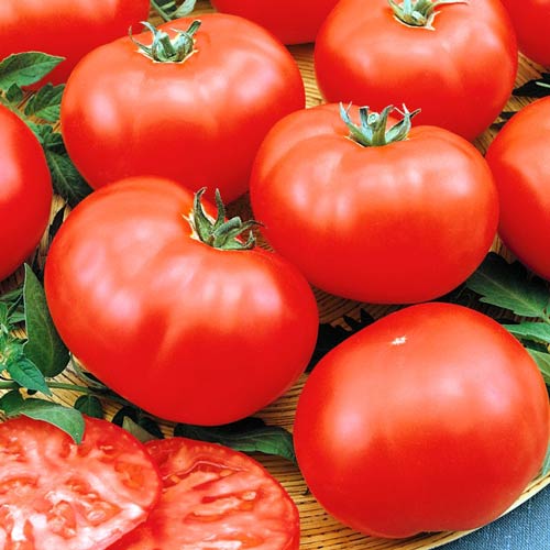 Томат Сибирский спринтер, семена артикул фото 1 Томат Сибирский спринтер, семена изображение 1 артикул 65412