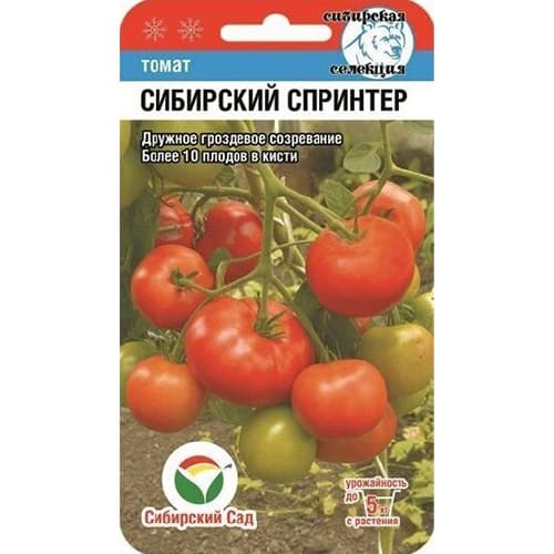 Томат Сибирский спринтер артикул фото 1 Томат Сибирский спринтер изображение 1 артикул 97196