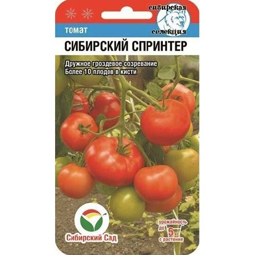 Томат Сибирский спринтер Сибирский сад артикул фото 1 Томат Сибирский спринтер Сибирский сад изображение 1 артикул 78388