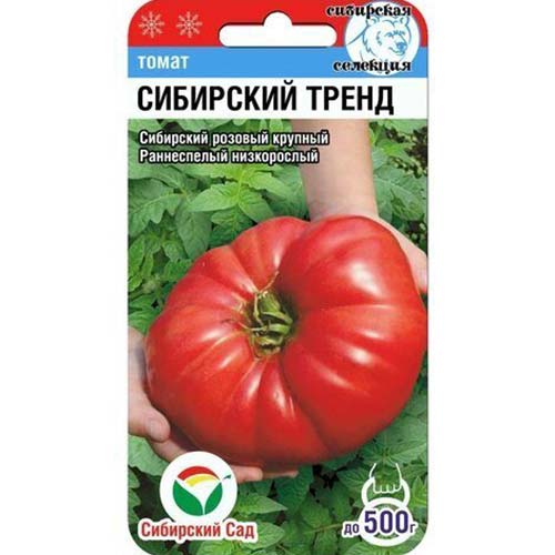 Томат Сибирский тренд артикул фото 1 Томат Сибирский тренд изображение 1 артикул 82920