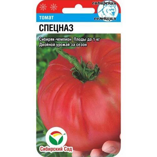 Томат Спецназ Сибирский сад артикул фото 1 Томат Спецназ Сибирский сад изображение 1 артикул 82924