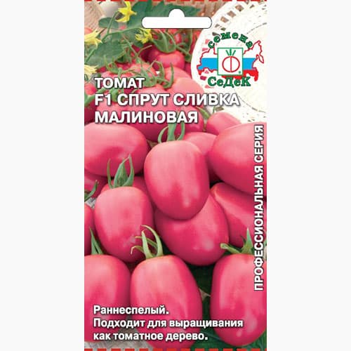 Томат Спрут сливка малиновая F1 Седек изображение 1 артикул 98140