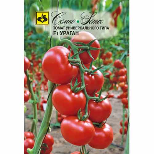 Томат Ураган F1 Семко изображение 1 артикул 82580