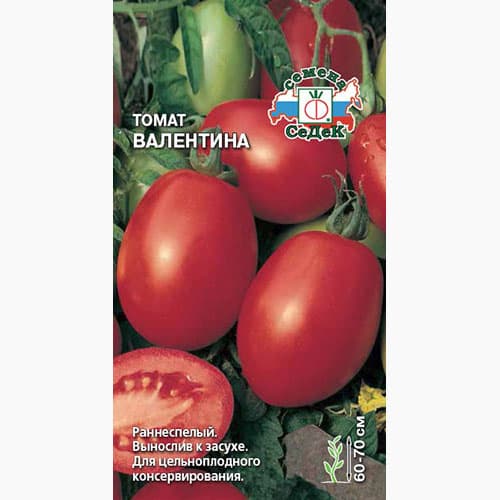 Томат Валентина  Седек артикул фото 1 Томат Валентина  Седек изображение 1 артикул 98097
