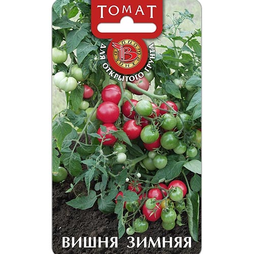 Томат Вишня зимняя Биотехника изображение 1 артикул 91529