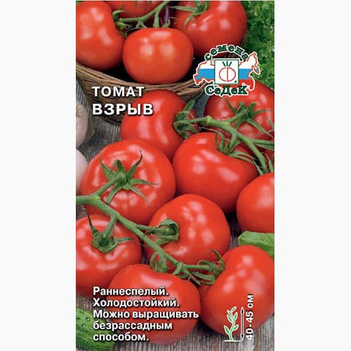 Томат Взрыв  Седек изображение 1 артикул 98098