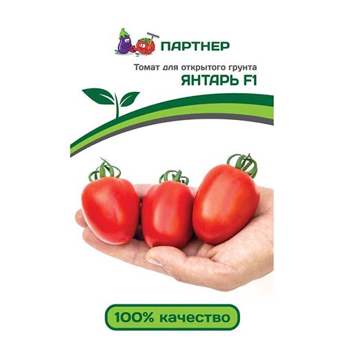 Томат Янтарь F1 Партнер изображение 1 артикул 73473