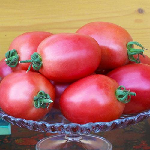 Томат Завидный холостяк F1 Premium Seeds изображение 1 артикул 83833