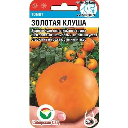 Томат Золотая клуша артикул фото 1 Томат Золотая клуша изображение 1 артикул 82861
