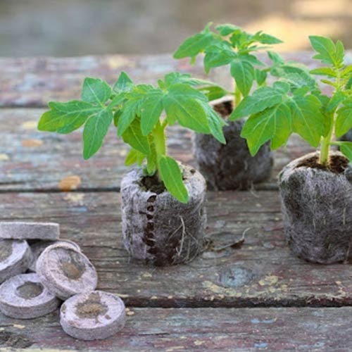 Торфяные таблетки Bt-31 для проращивания семян изображение 1 артикул 83373