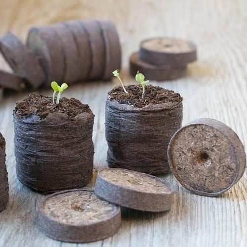 Торфяные таблетки Jiffy-7 33 мм изображение 1 артикул 83365