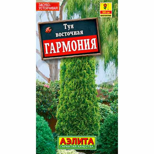 Туя восточная Гармония Аэлита изображение 1 артикул 99156