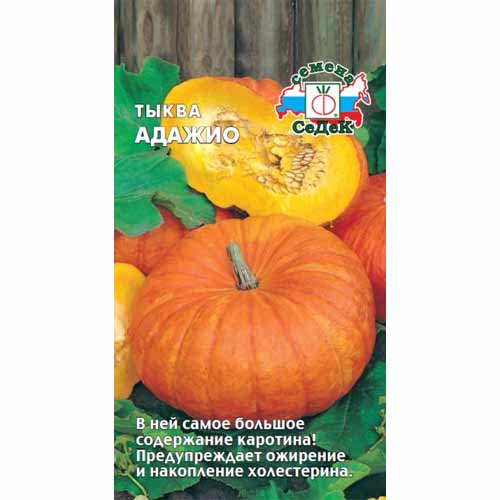 Тыква Адажио Седек изображение 1 артикул 40525