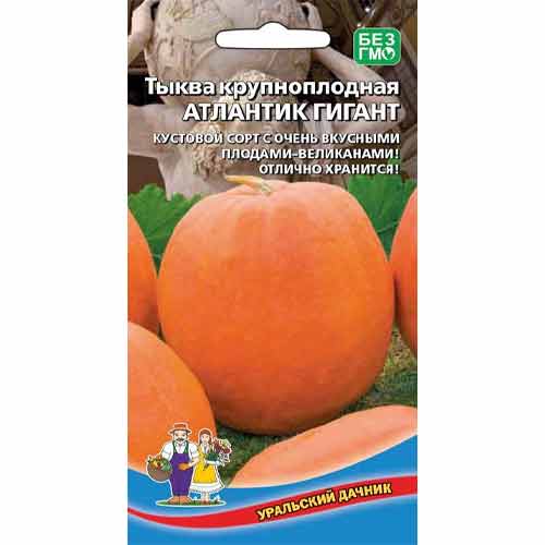 Тыква крупноплодная Атлантик гигант Уральский дачник изображение 1 артикул 94726