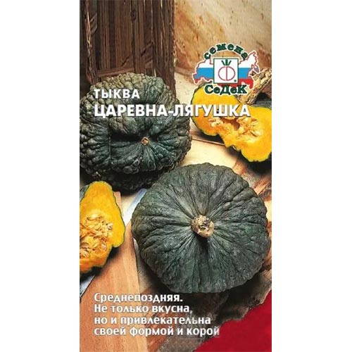Тыква Царевна лягушка Седек изображение 1 артикул 93594