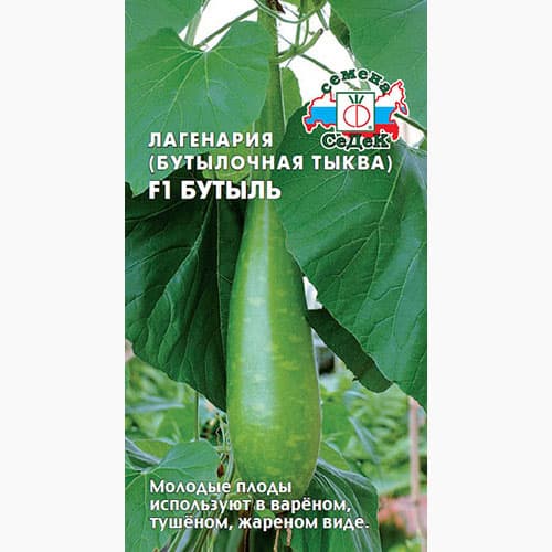 Тыква декоративная Бутылочная Седек изображение 1 артикул 98154