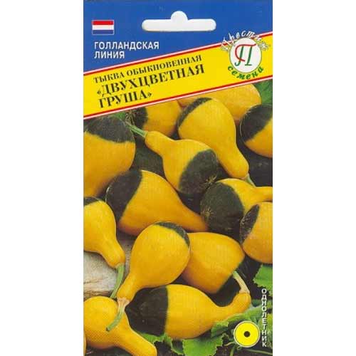 Тыква декоративная Двухцветная груша Престиж изображение 1 артикул 71405