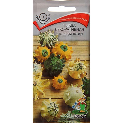 Тыква декоративная Шахрезада звезды, смесь окрасок Поиск изображение 1 артикул 93130