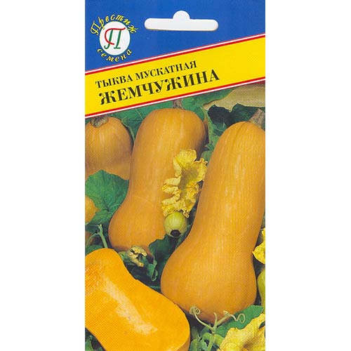 Тыква Жемчужина Престиж артикул фото 1 Тыква Жемчужина Престиж изображение 1 артикул 84389