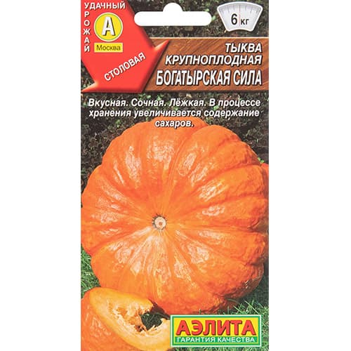 Тыква крупноплодная Богатырская сила Аэлита изображение 1 артикул 98760