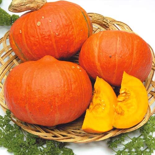 Тыква Лесной орех F1 изображение 1 артикул 65364