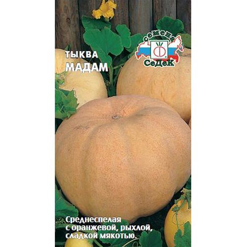 Тыква Мадам Седек изображение 1 артикул 93591