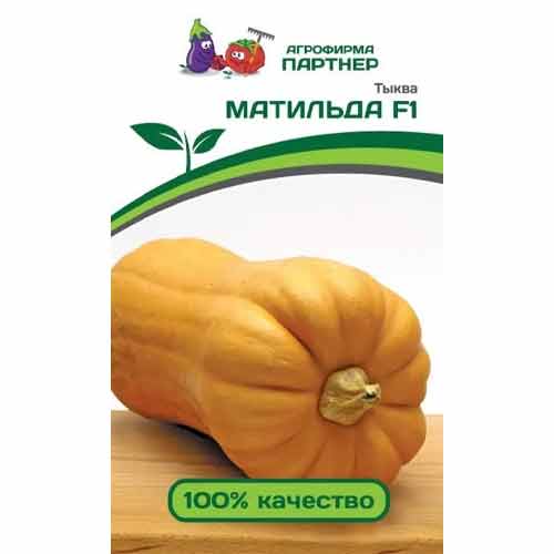 Тыква Матильда F1 Партнер изображение 1 артикул 81073
