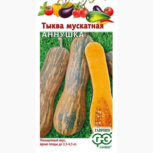 Тыква мускатная Аннушка Гавриш изображение 1 артикул 97551