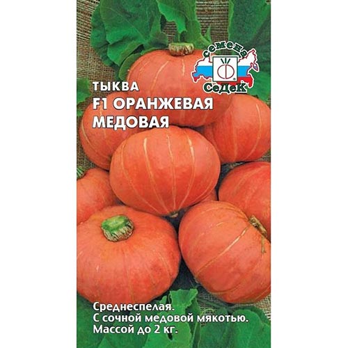 Тыква Оранжевая медовая F1 Седек изображение 1 артикул 93593
