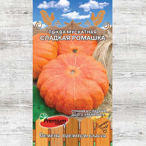 Тыква Сладкая ромашка изображение 1 артикул 83871