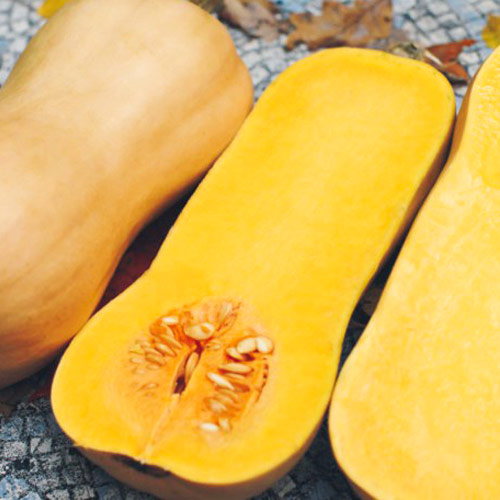 Тыква Страдивари изображение 1 артикул 69834